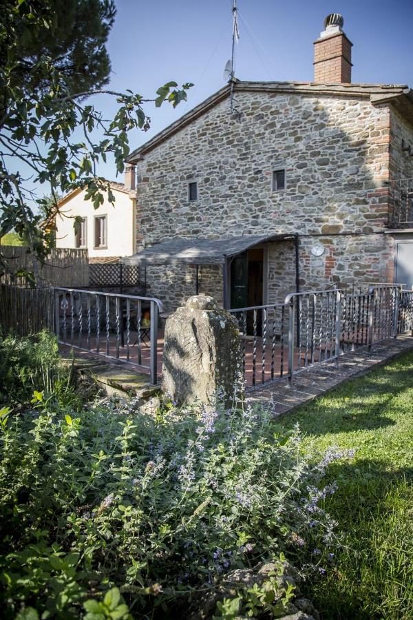 Baccio Di Magio Arezzo